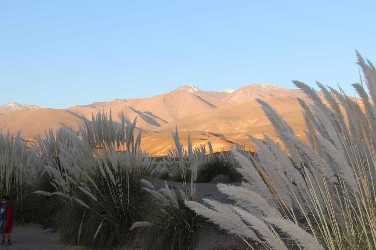 Cabana Nachitor San Pedro de Atacama Exterior photo